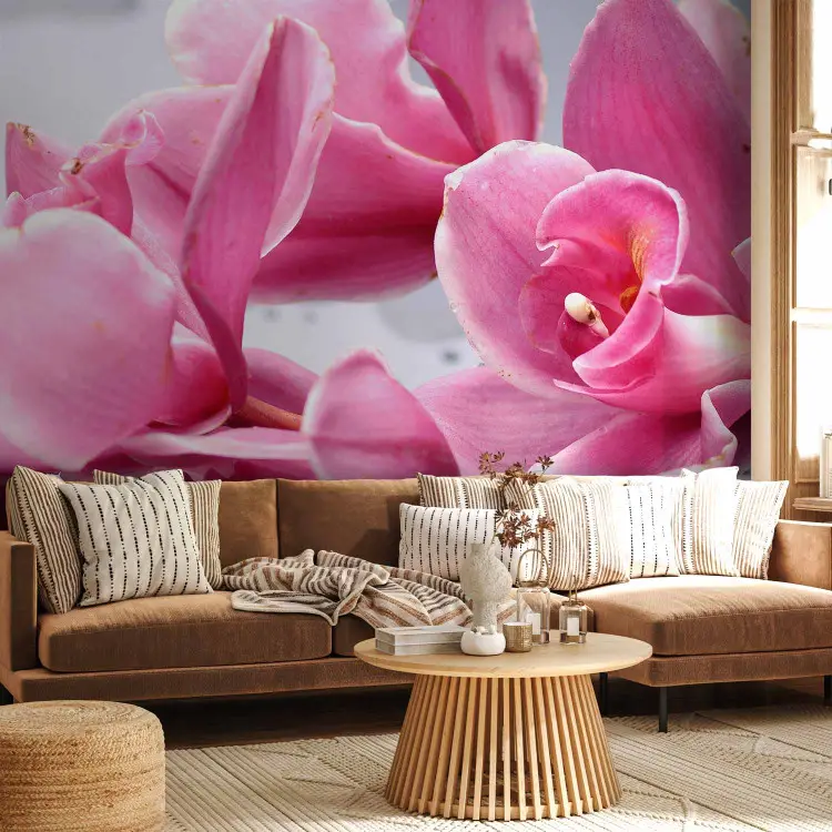 pink orchid flower wallpaper