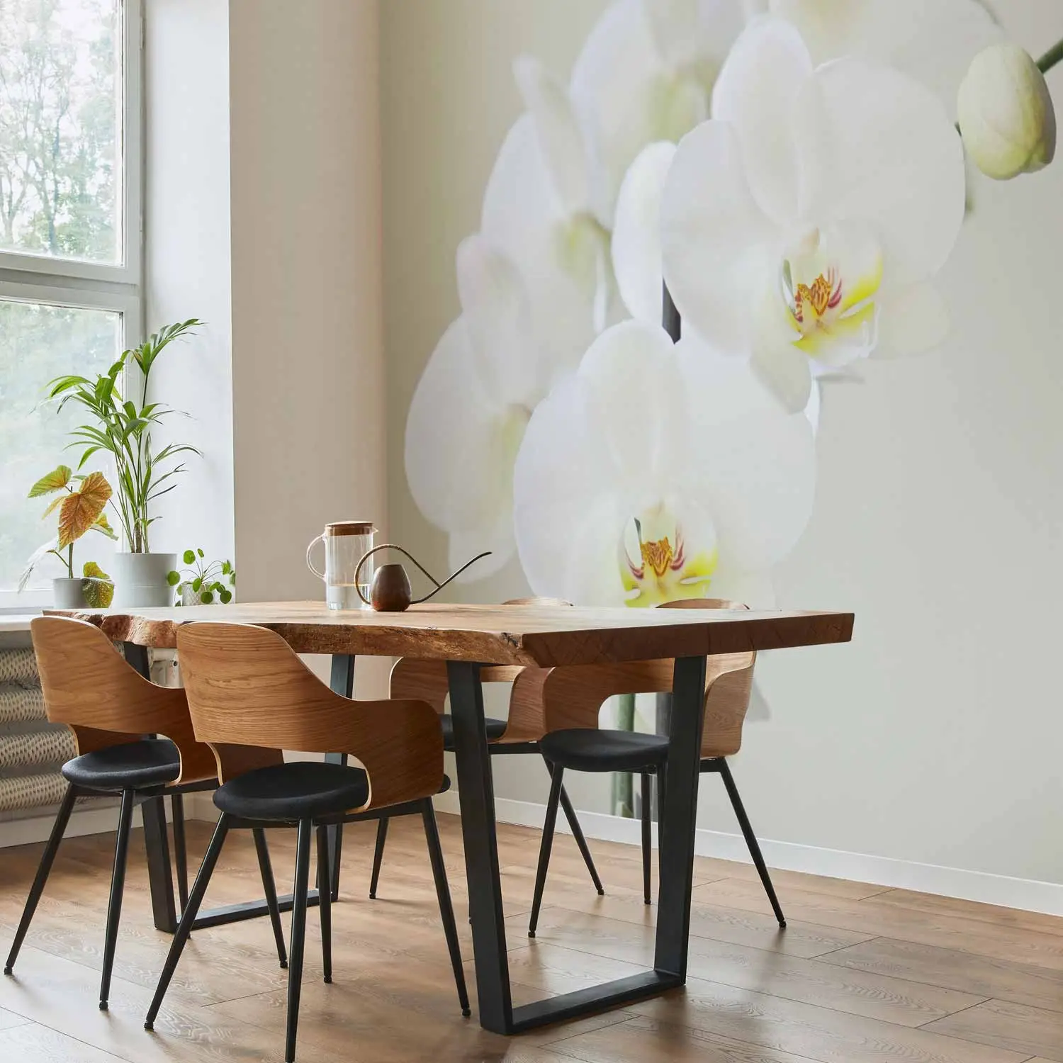 Wall Mural White Orchid - Natural Flowers in Light Shades for the