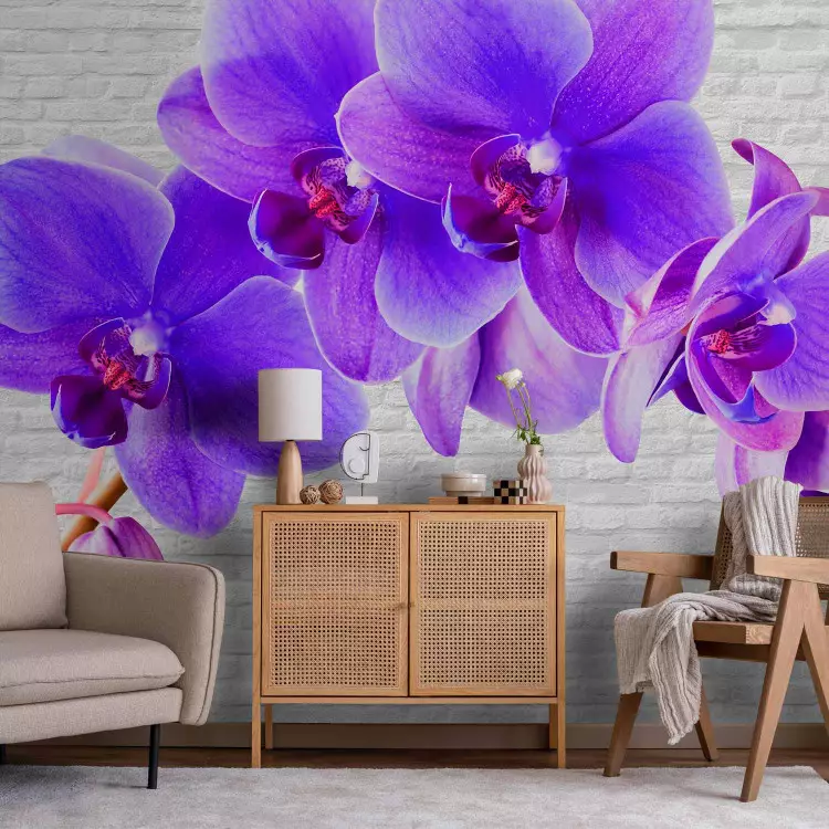 Wall Mural Purple Excitement - Orchid Flower Motif on a White ...