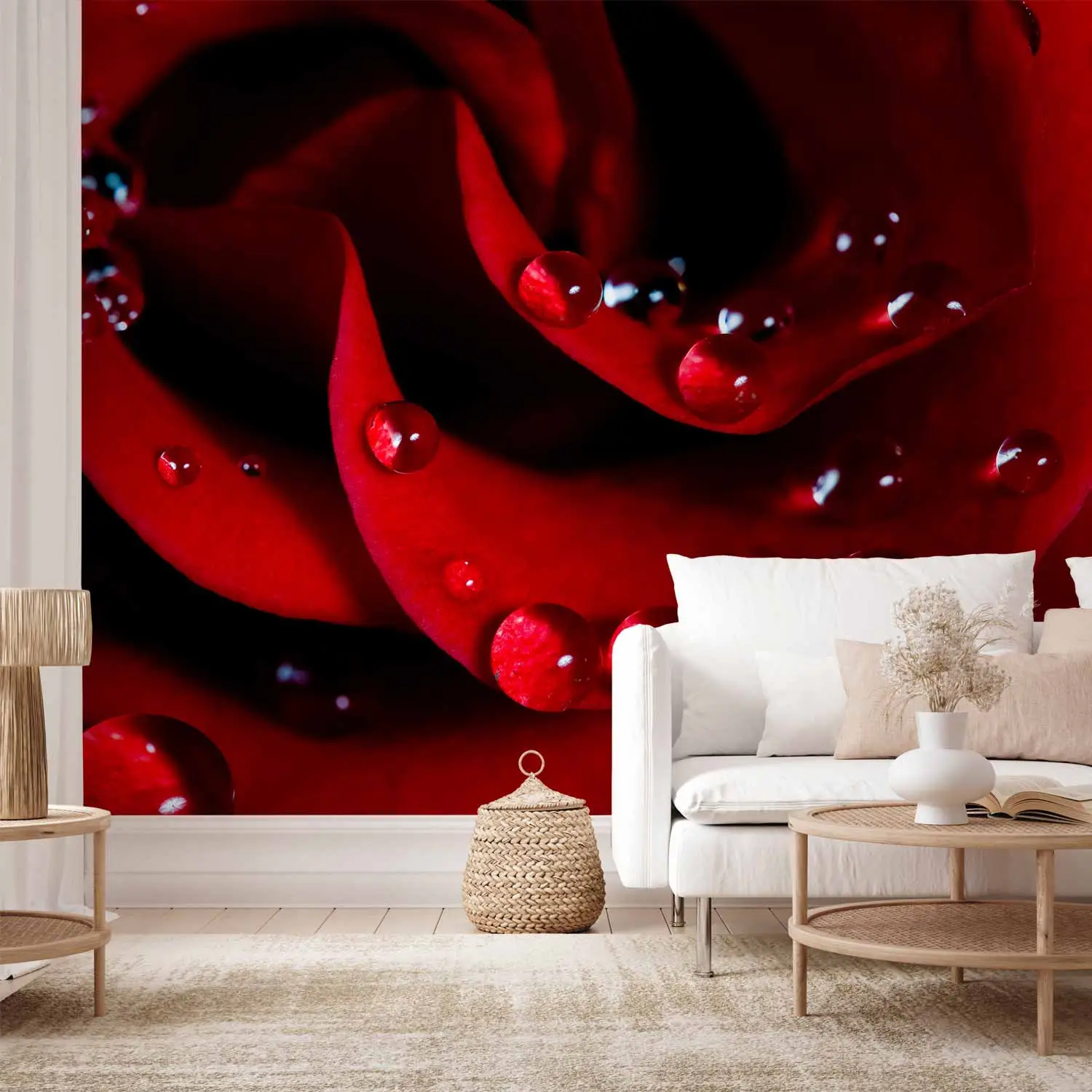 big rose wallpaper