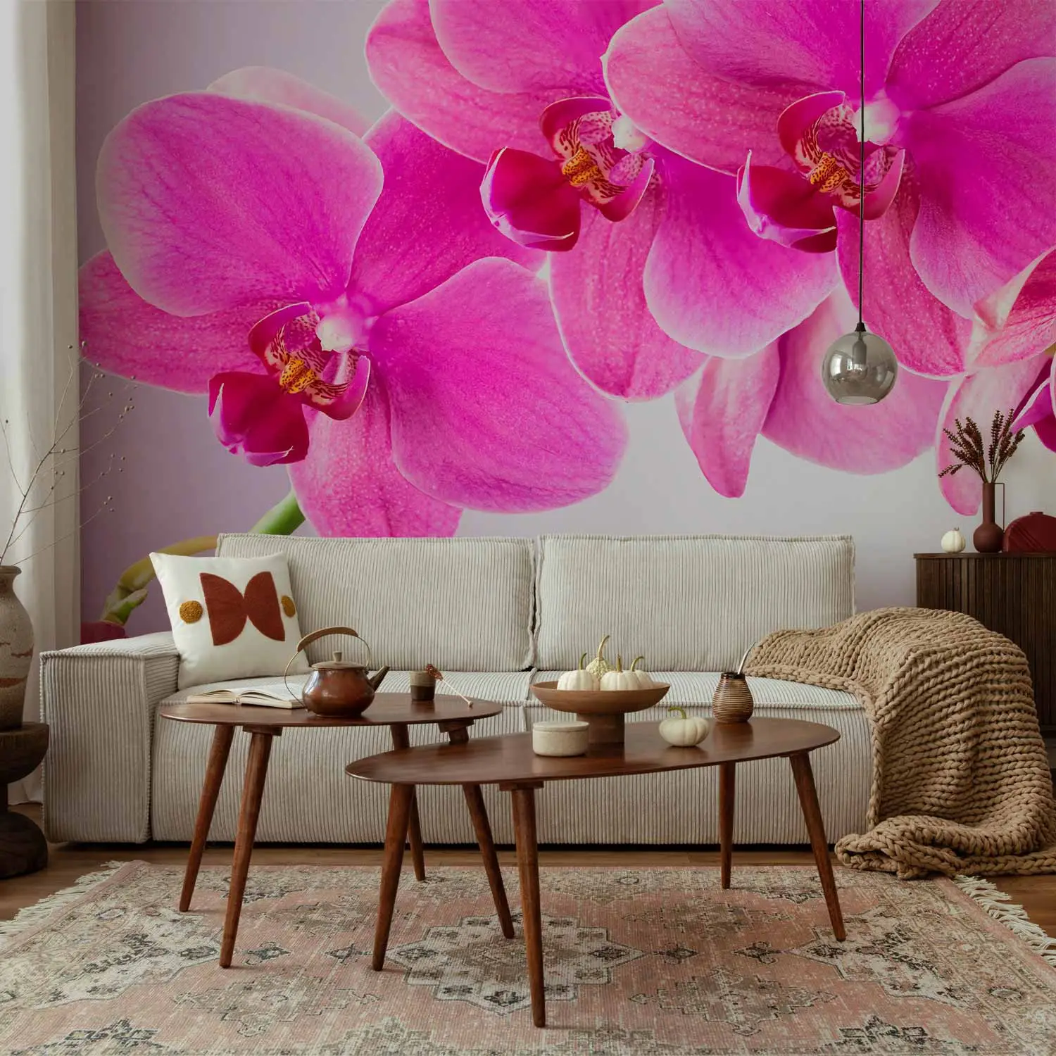 pink orchid flower wallpaper