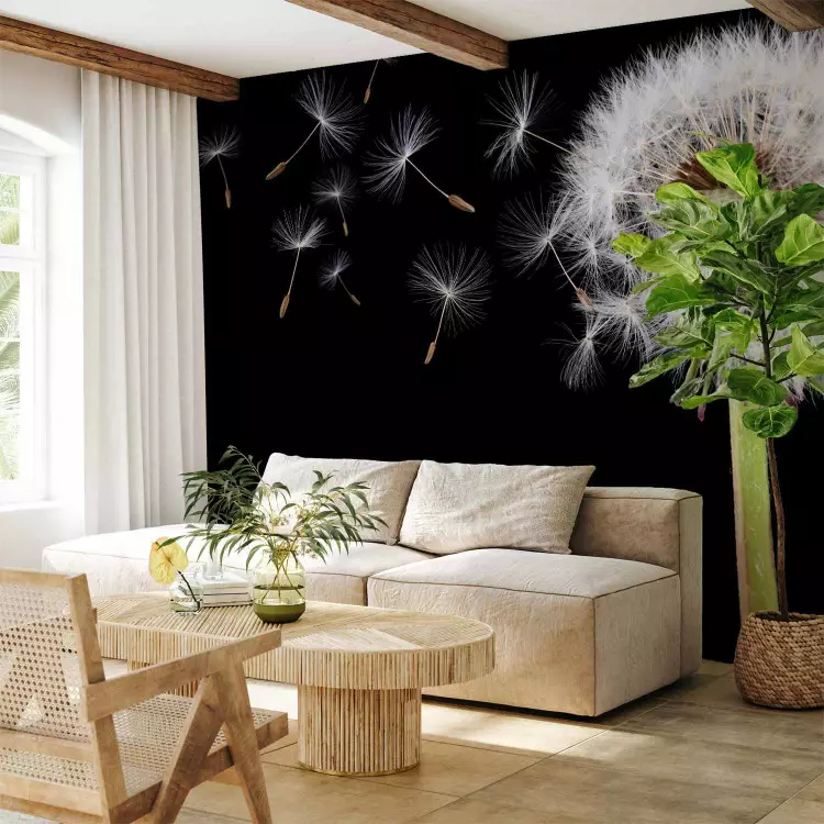 Wind and dandelion