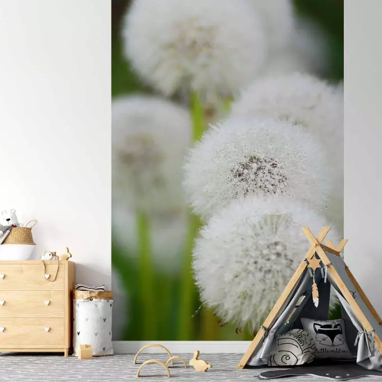Light as a Feather - Floral Motif of Dandelions on a Blurred Background
