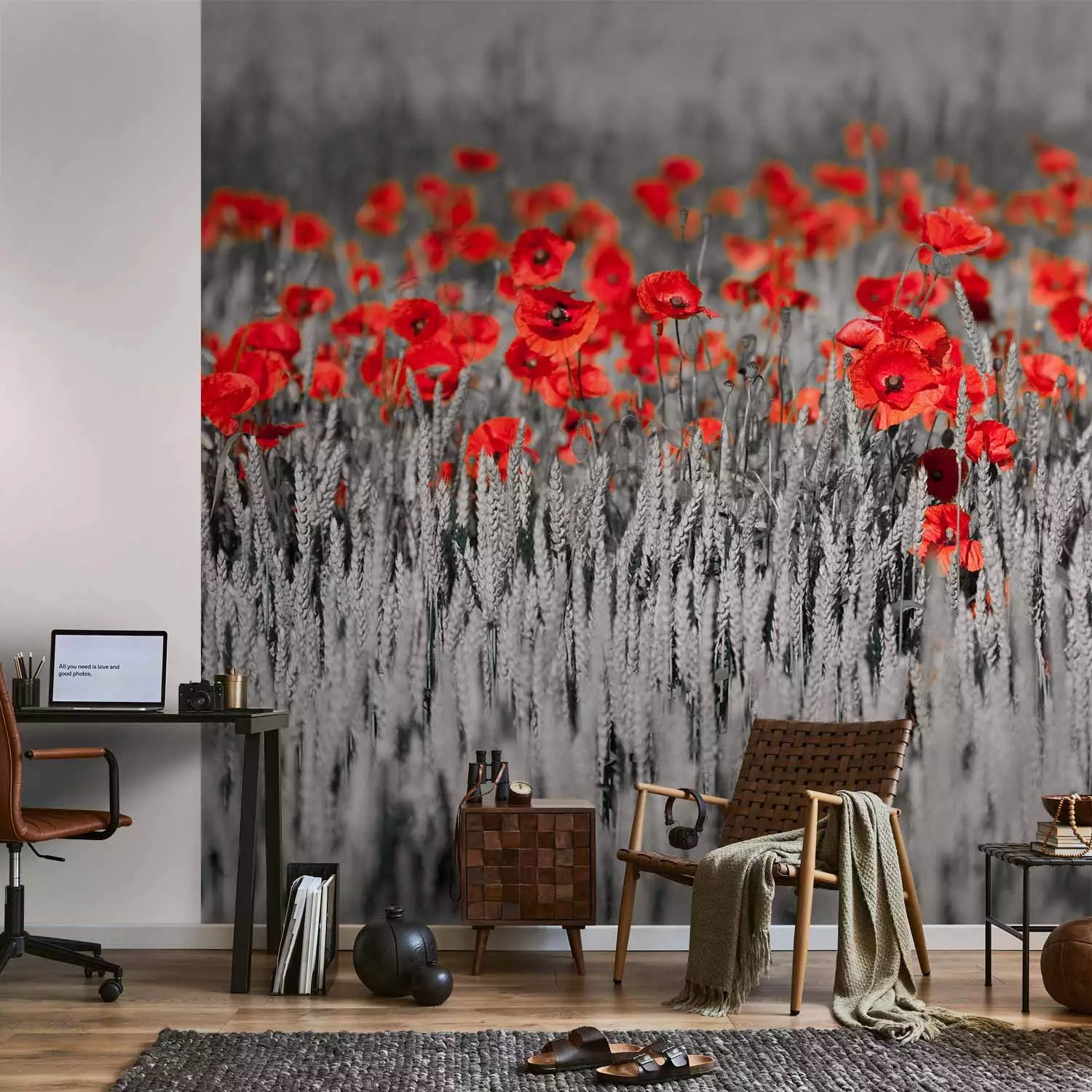 Wall Mural Poppies on Black and White Grain - Contrasting Shot of Red Flowers