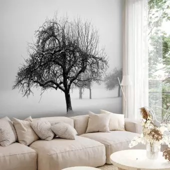 Photo Wallpaper Winter: Trees