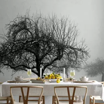 Photo Wallpaper Winter: Trees