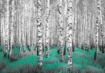 Photo Wallpaper Emerald Asylum - Abstract Forest Landscape with Birch Trees and an Accent Wallpaper Cropper