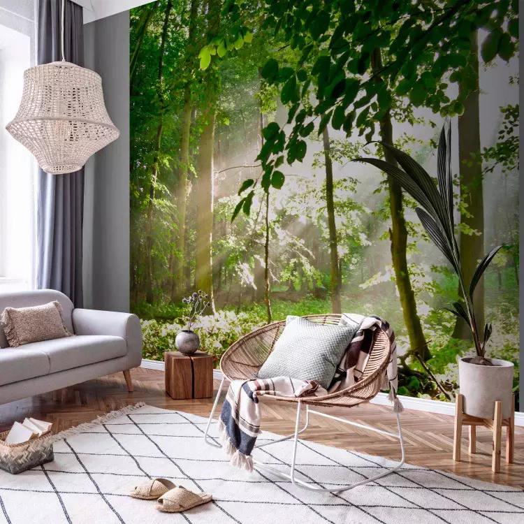 Photo Wallpaper Forest - Summer - Forest Landscape with Trees Full of Green  Leaves in the Sun - bimago