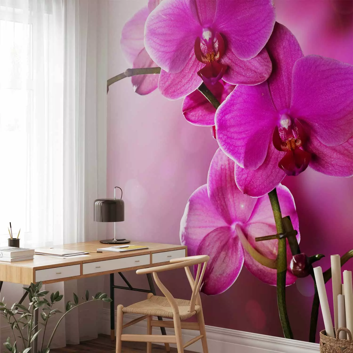 Wall Mural Pink Orchid Flowers - Fresh Flower Motif on a Delicate  Background - bimago
