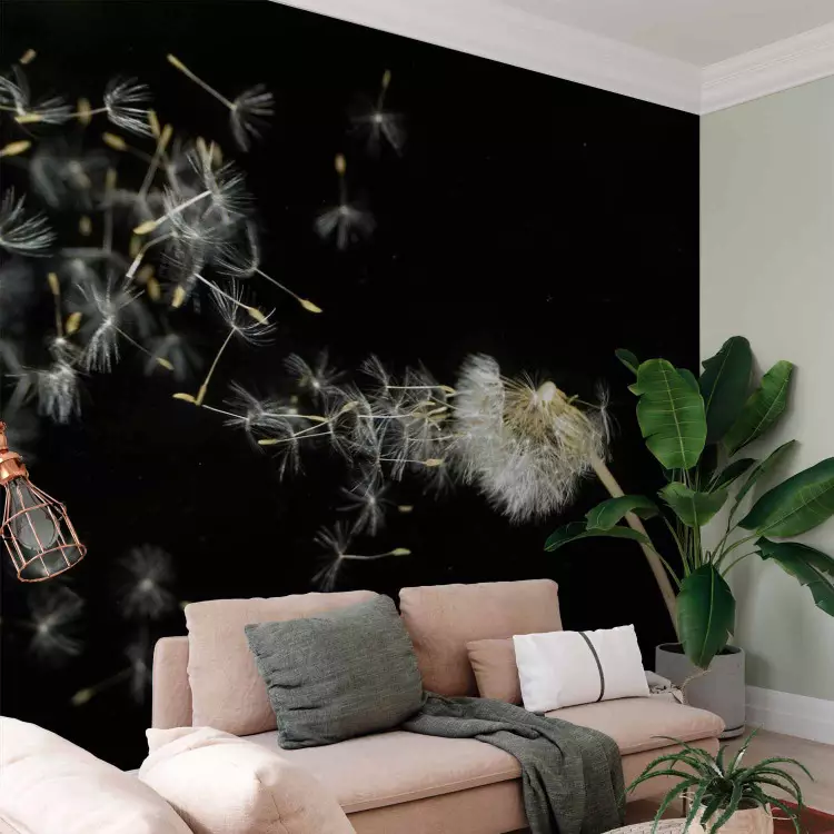 Floral Motif - Close-up of a Dandelion Blowing in the Wind on a Black Background