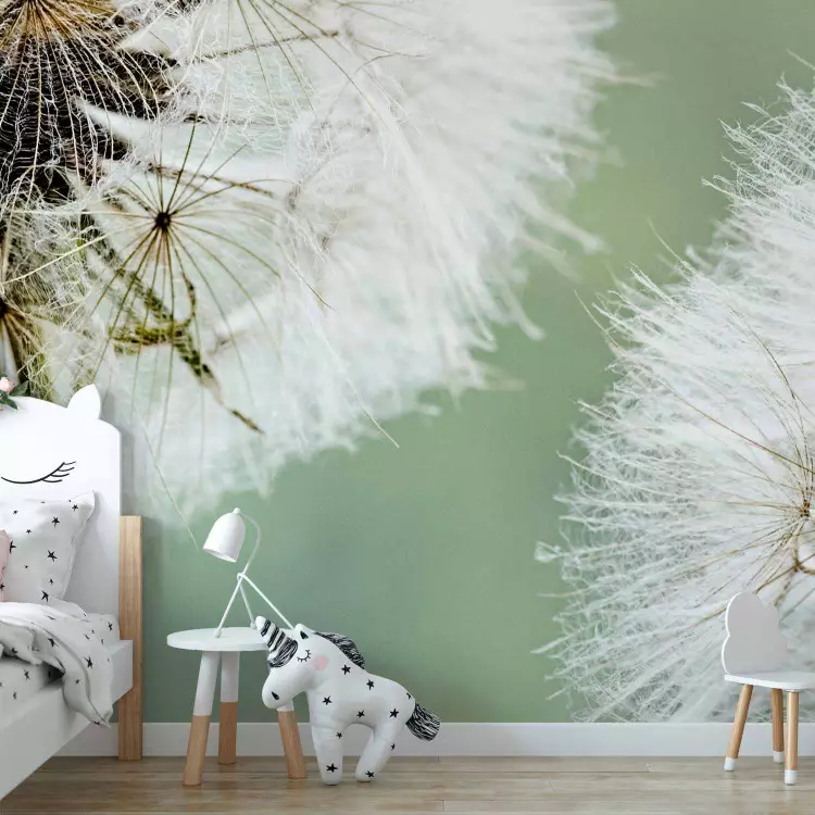Two Dandelions - Plant Motif with Close-up of Flowers on a Blurred Background