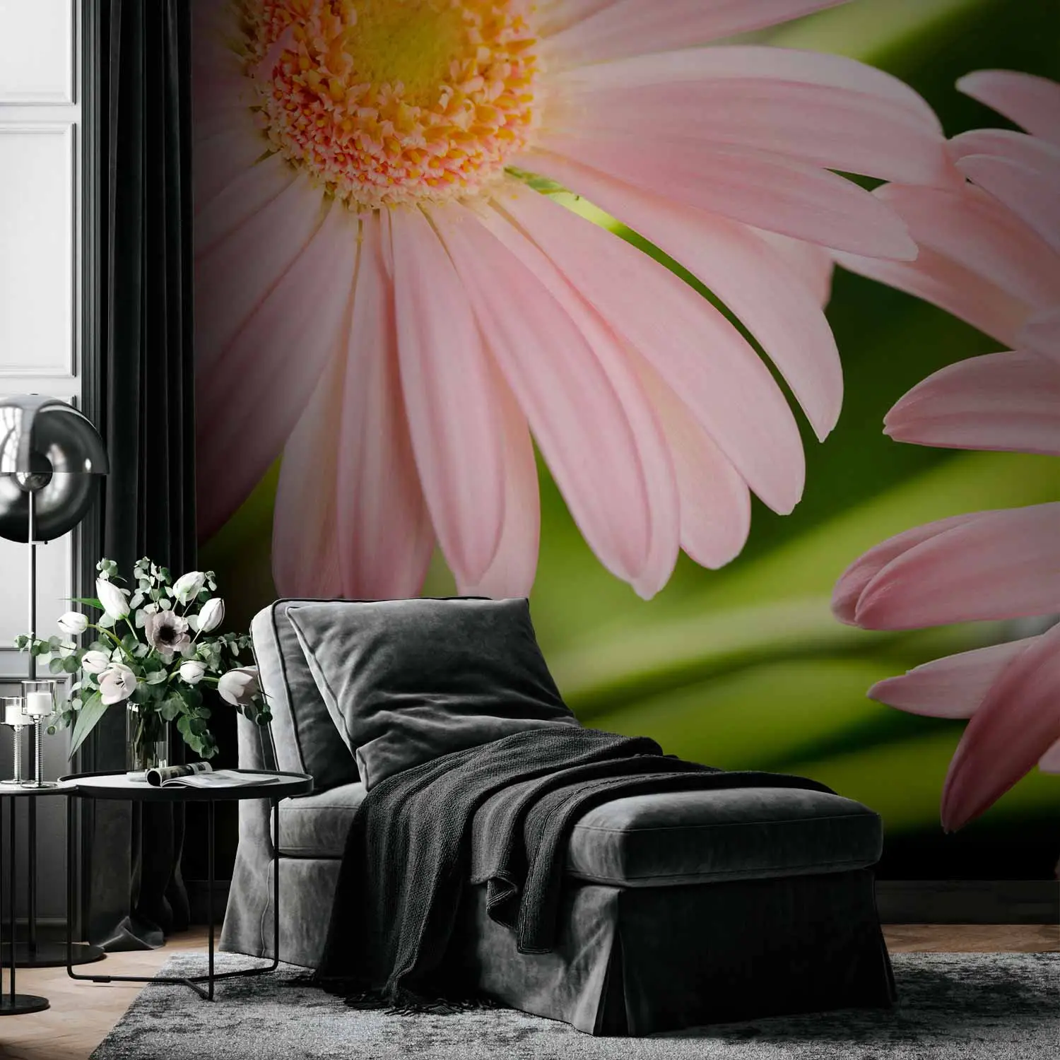 gerbera daisy wallpaper