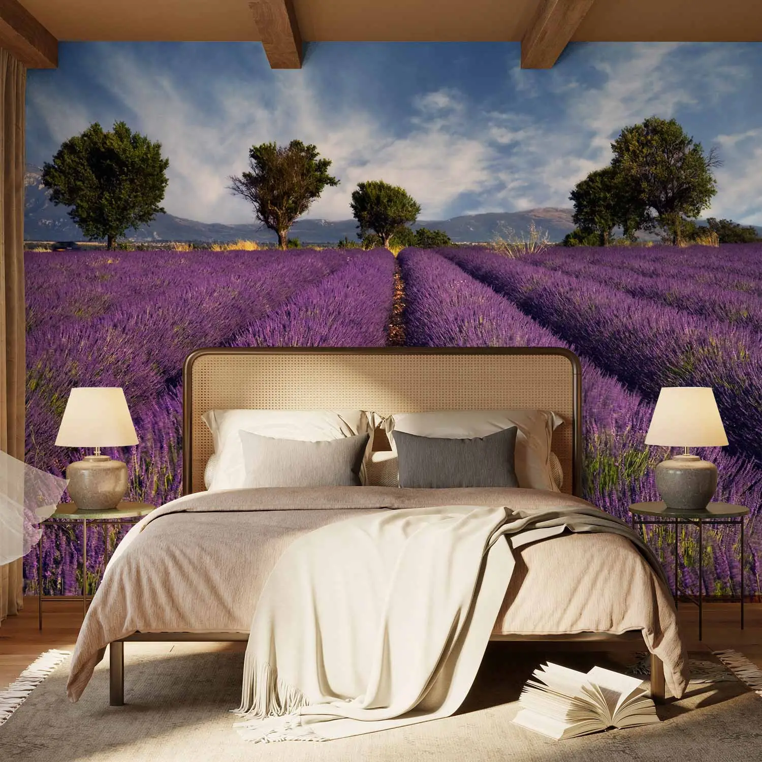 order lavender plants 3-Pack Live Lavandula angustifolia English Lavender Starter Perennial  Plants. Super Healthy. Ready to Plant main image 1