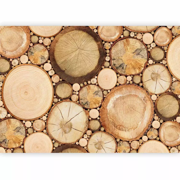 Wood grains