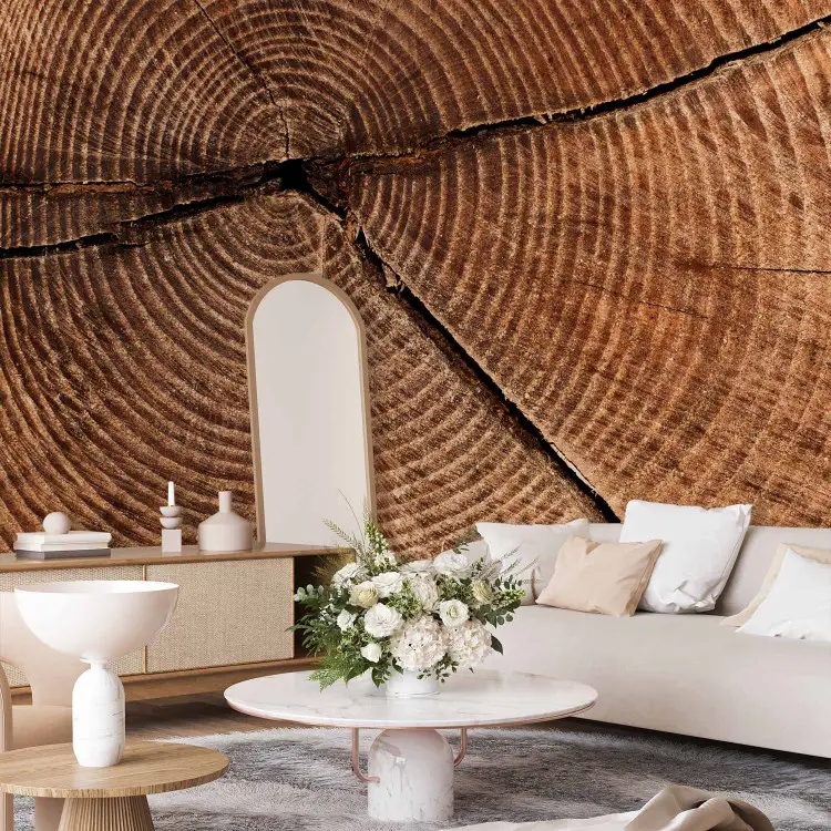 Photo Wallpaper Wooden Beauty - Cross-Section of a Tree Trunk - bimago