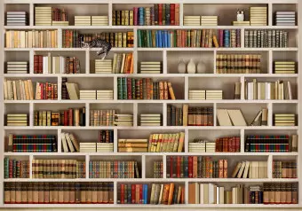Wall Mural Home library Wallpaper Cropper