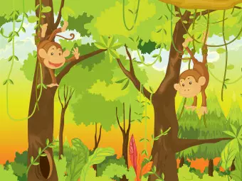 Wall Mural Jungle - monkeys Wallpaper Cropper
