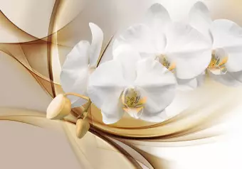 Wall Mural Floral Abstraction - White orchid with buds on an intricate beige background Wallpaper Cropper