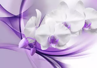 Wall Mural Flowers of Nature - White orchid flower on a background with a purple pattern Wallpaper Cropper