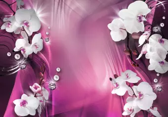 Wall Mural Pink Composition - White orchids and pearls on a pink background with patterns Wallpaper Cropper