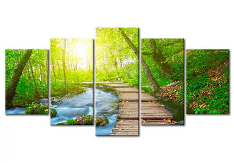 Canvas Sunny Forest