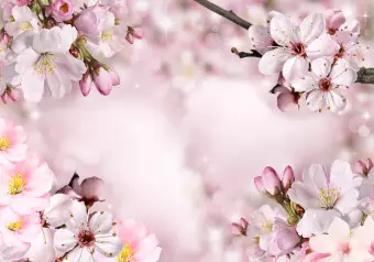 Photo Wallpaper Spring Cherry Blossom Wallpaper Cropper