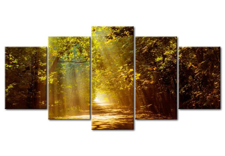 Canvas Forest in the Sunlight