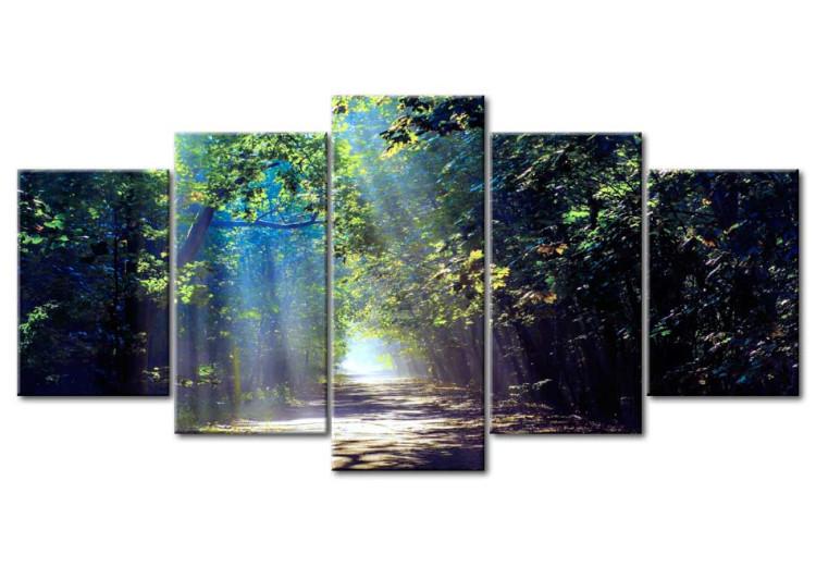 Canvas Sunny Forest Path