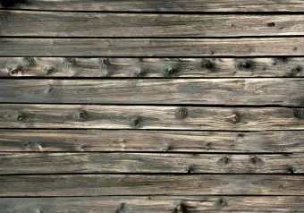 Photo Wallpaper Rustic boards - background in cool grey wood pattern Wallpaper Cropper