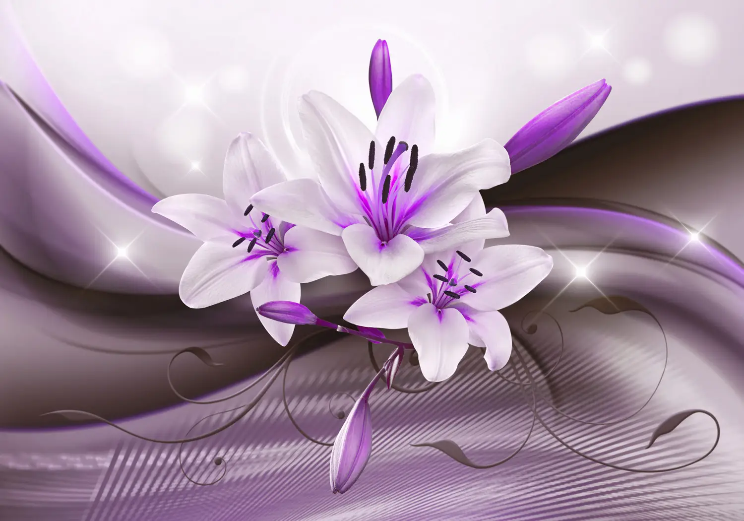 garden lily flower Forever Susan Asiatic Lily, Lilium main image 1