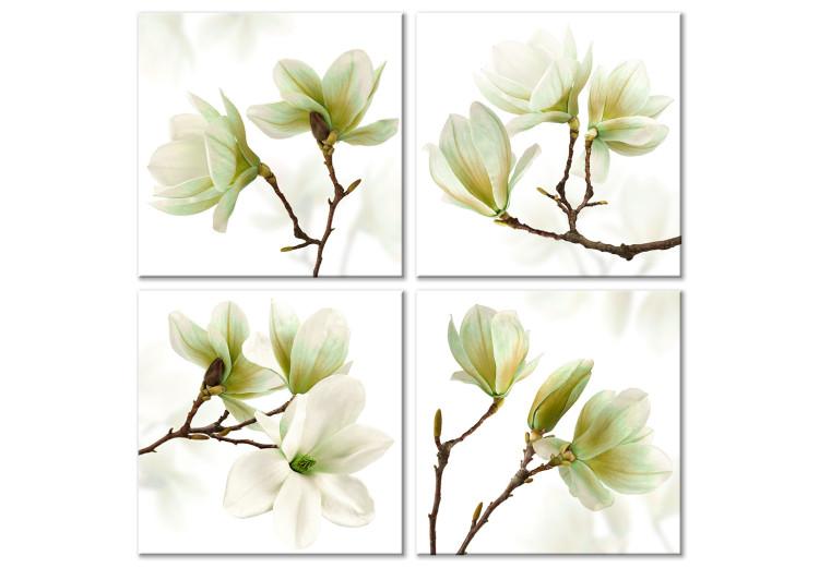 Canvas Admiration of Magnolia