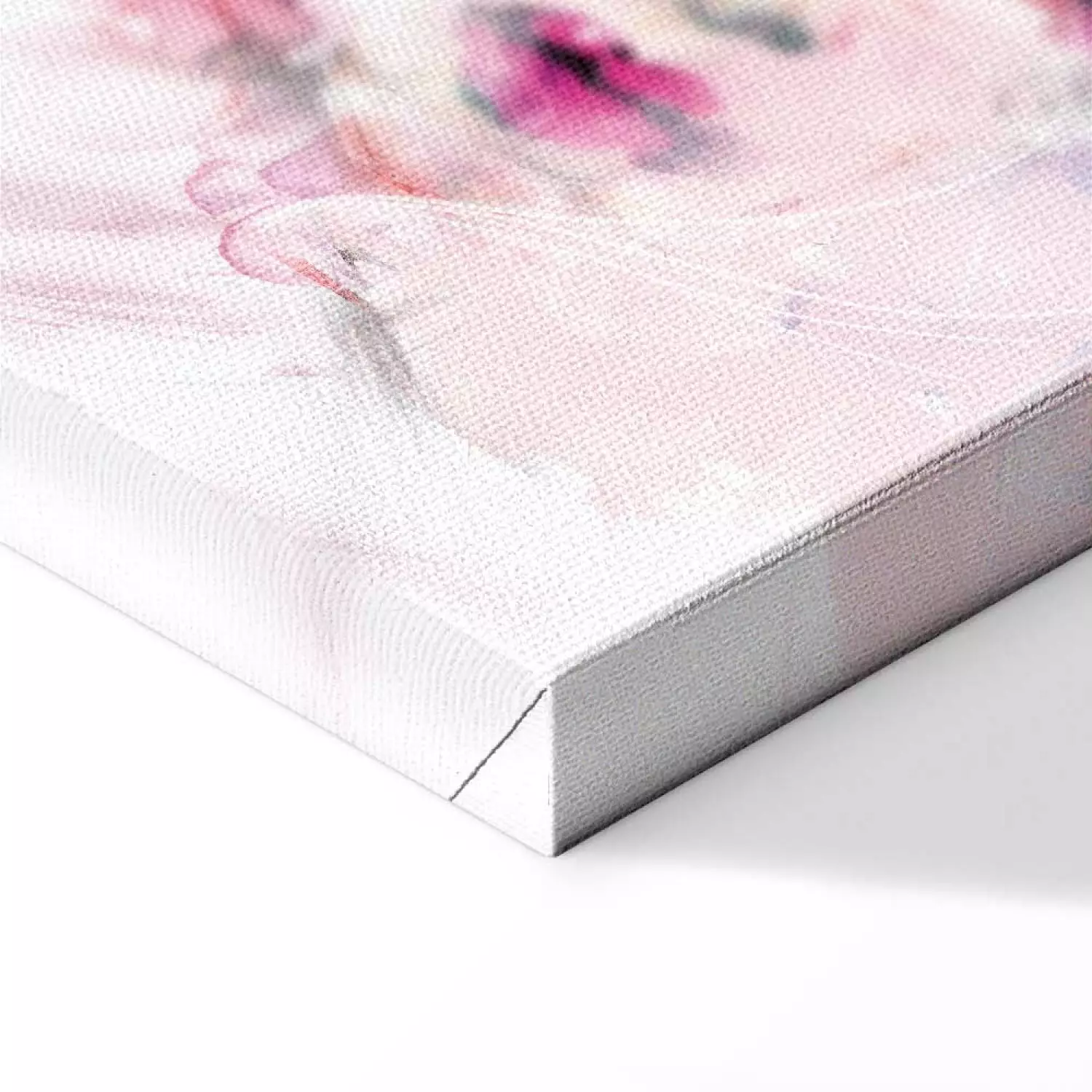 Canvas Face of Feminity
