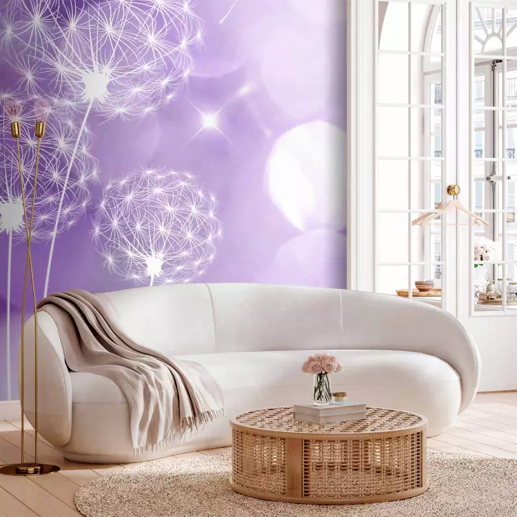 Wall Mural Flowers in the wind - outline of dandelions on a purple background in sunlight