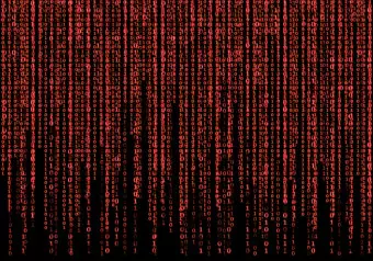 Wall Mural Red digital rain - matrix movie theme of numbers on black background Wallpaper Cropper