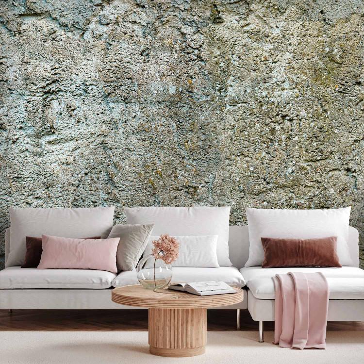 Wall Mural Stony Barriere