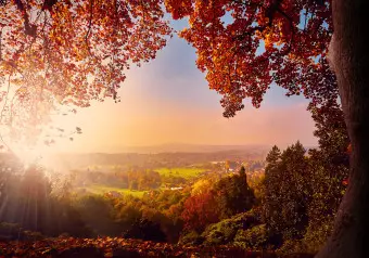 Wall Mural Autumn delight - sunny landscape with countryside surrounded by trees and fields Wallpaper Cropper