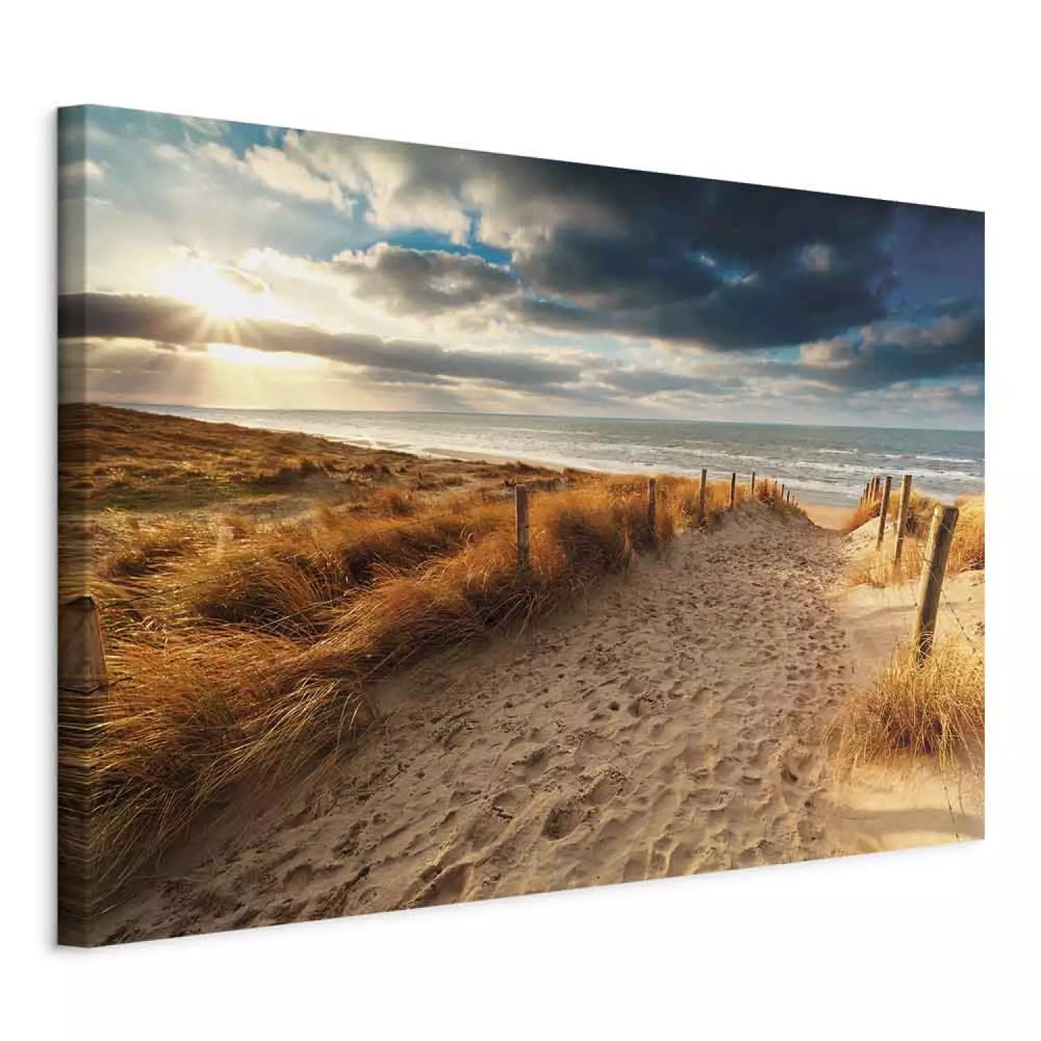 Summer Storm Landscape Canvas Art Print