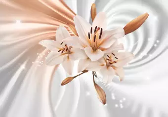 Wall Mural Orange abstraction - white lilies on background with swirl effect Wallpaper Cropper