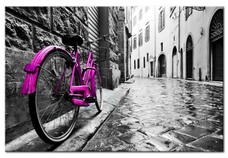 Canvas Vintage Pink Bike