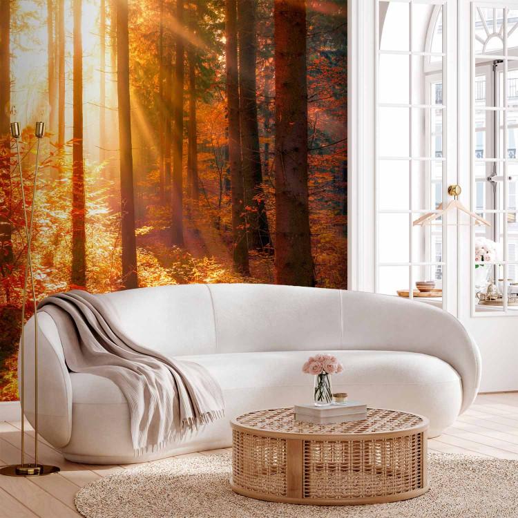 Wall Mural Autumnal Time
