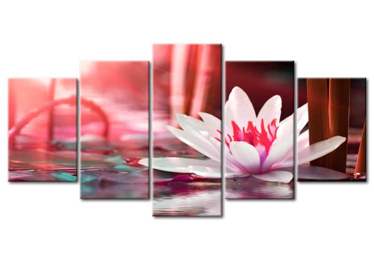 Canvas Amaranth Lotus (5-piece) - Pink Flower on a Surface of Red Water