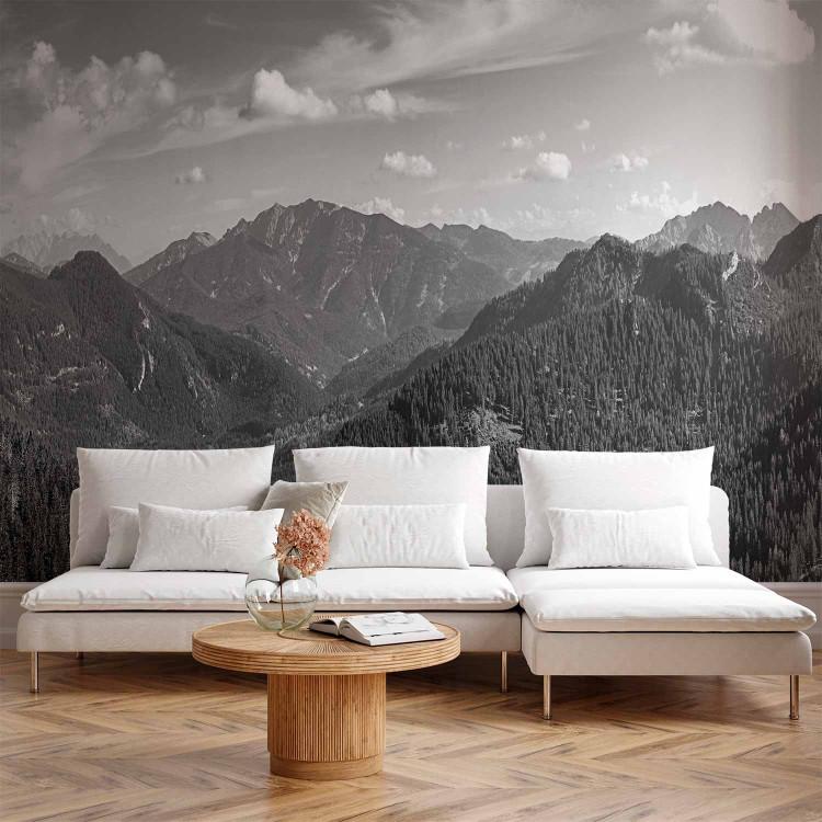Wall Mural Black and white mountain landscape - gray landscape in retro style