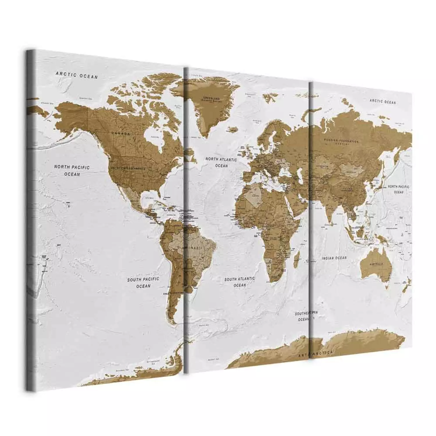 Canvas World Map: White Poetry (3-piece) - brown continents on white