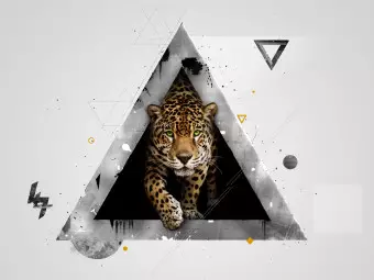Wall Mural Wild animals - modern abstraction with a tiger in a white triangle Wallpaper Cropper