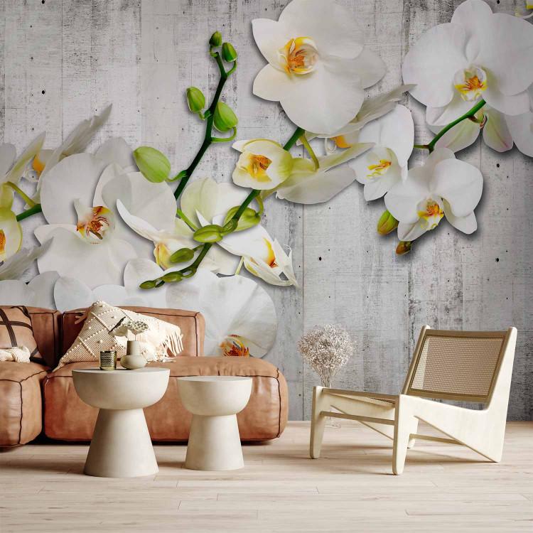 Wall Mural White orchids with orange accent - flower motif on grey background