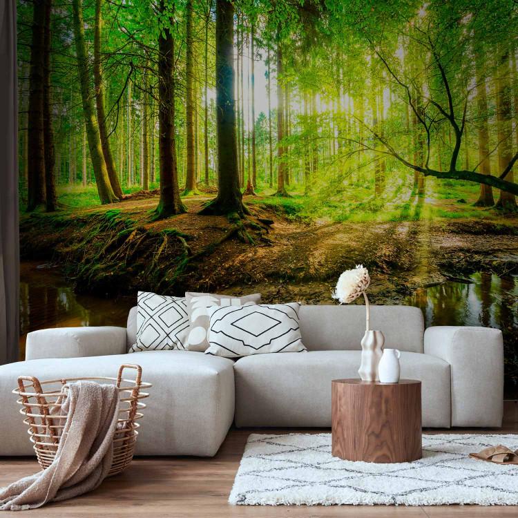 Wall Mural Forest Stream