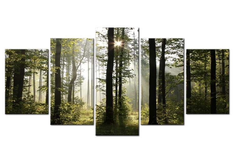 Canvas Green Light of Nature (5-part) - Nature's Glow in Forest Landscape