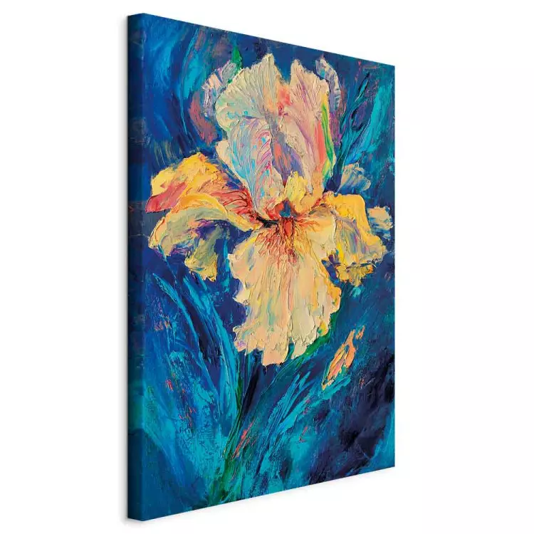 Beautiful Iris