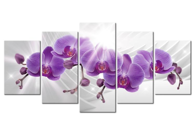 Canvas Abstract Garden: Purple Orchis