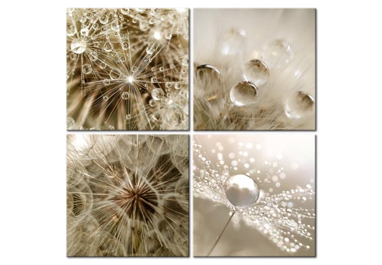 Canvas Beige Summer - Minimal Water Droplets in the Form of Abstract Flowers